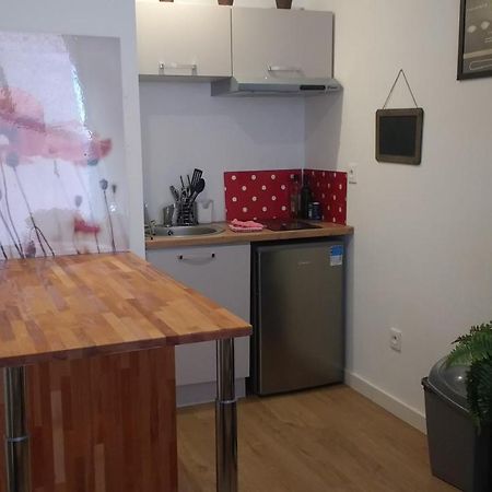 Palais De Justice Apartment トゥールーズ エクステリア 写真