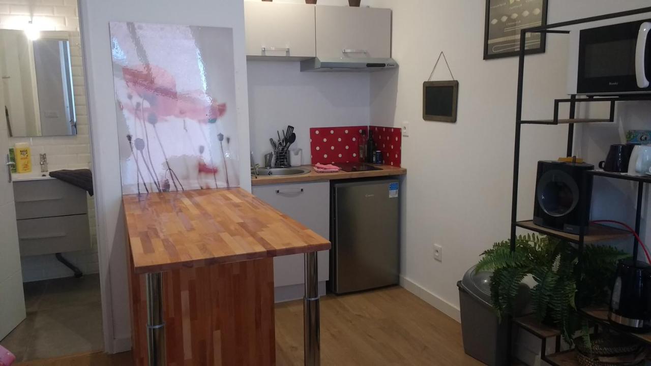 Palais De Justice Apartment トゥールーズ エクステリア 写真
